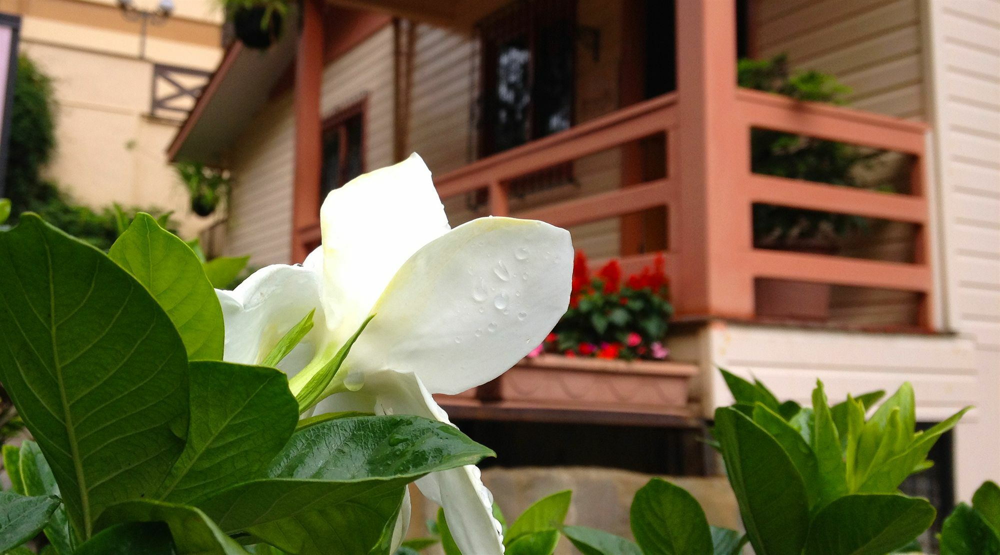Pousada Jasmim Gramado Zewnętrze zdjęcie